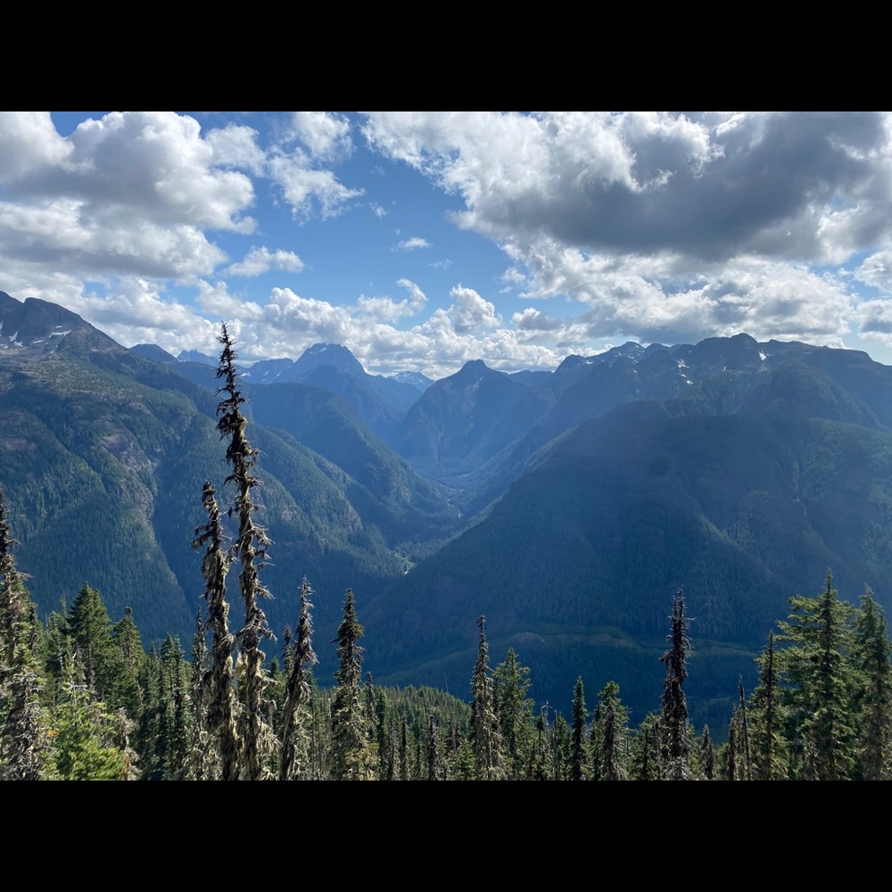 Meet your Posher, CMichele